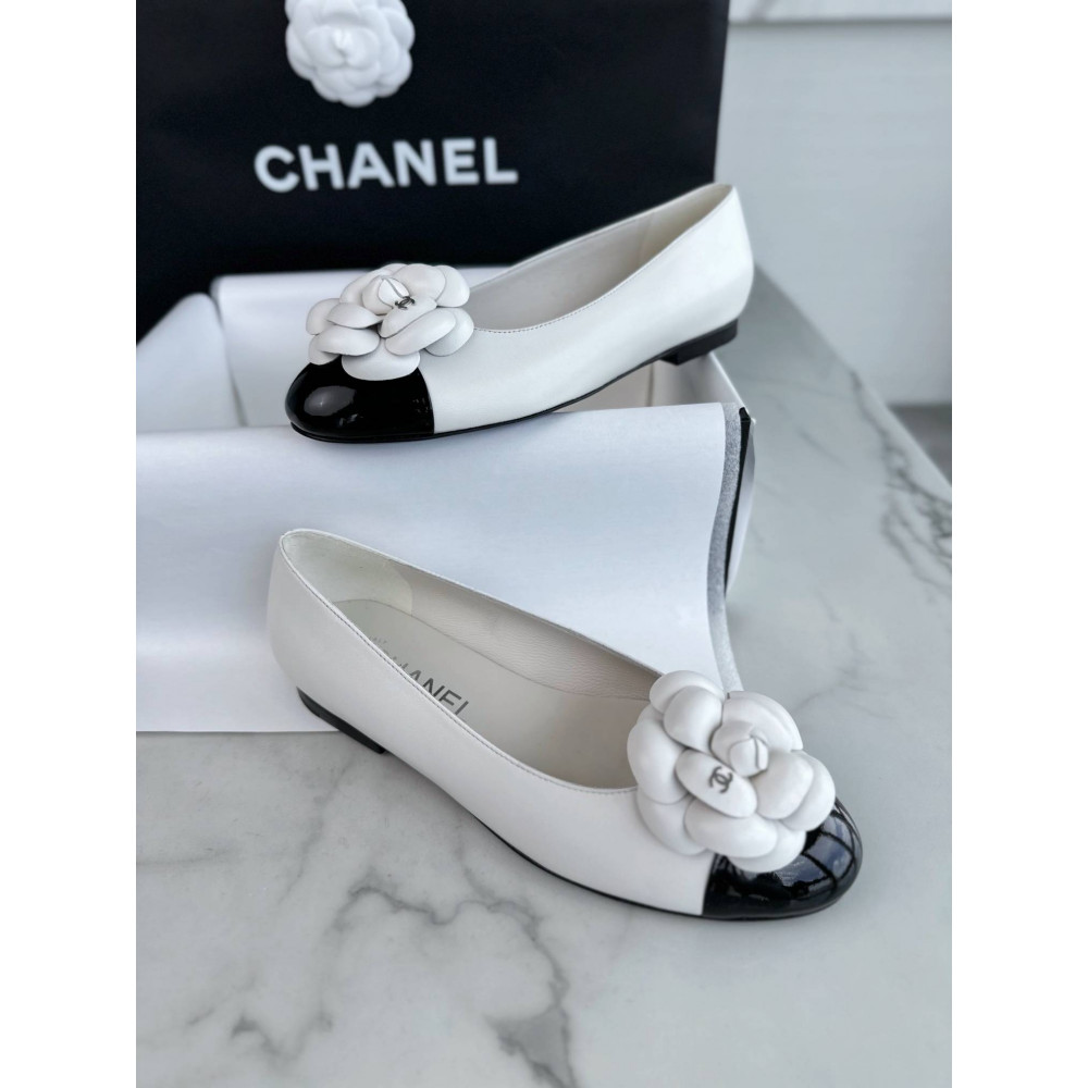 Ballet shoes