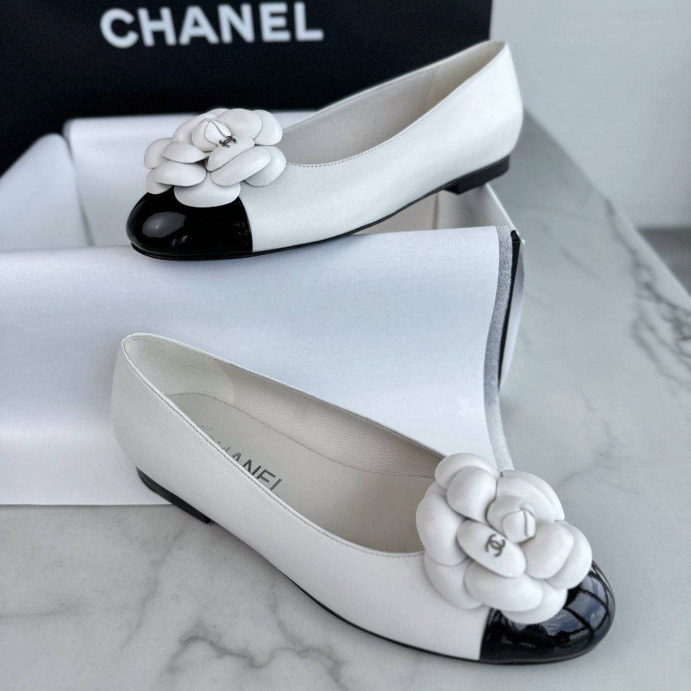 Ballet shoes