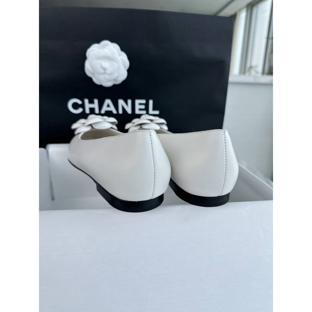 Ballet shoes