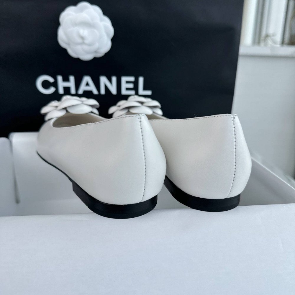 Ballet shoes Ballet shoes